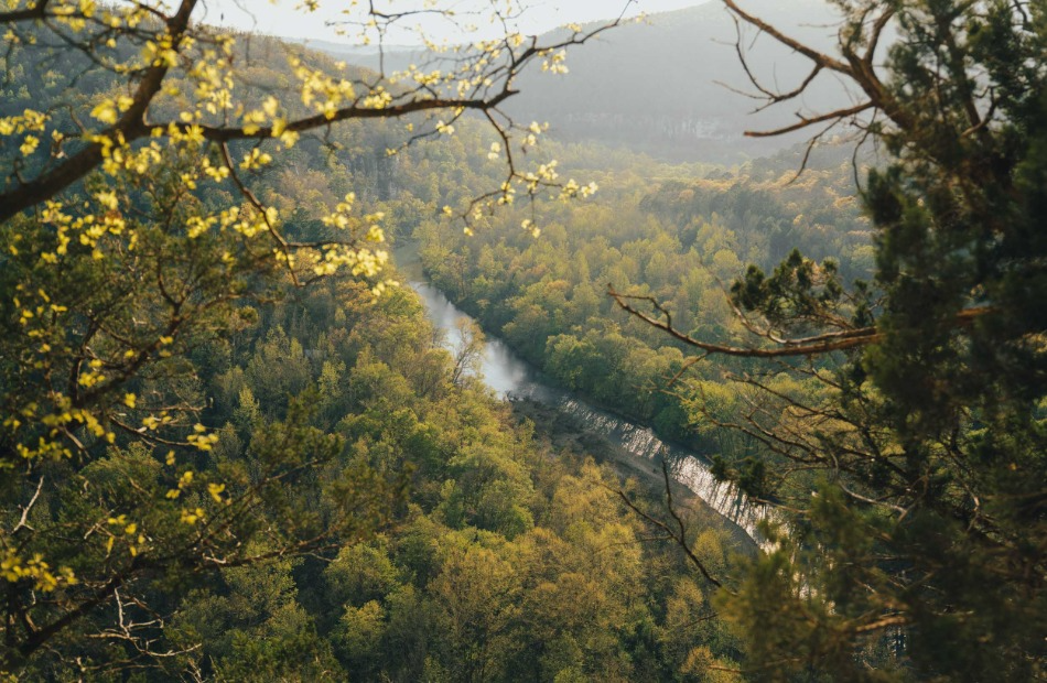 Scenic landscape of river view.