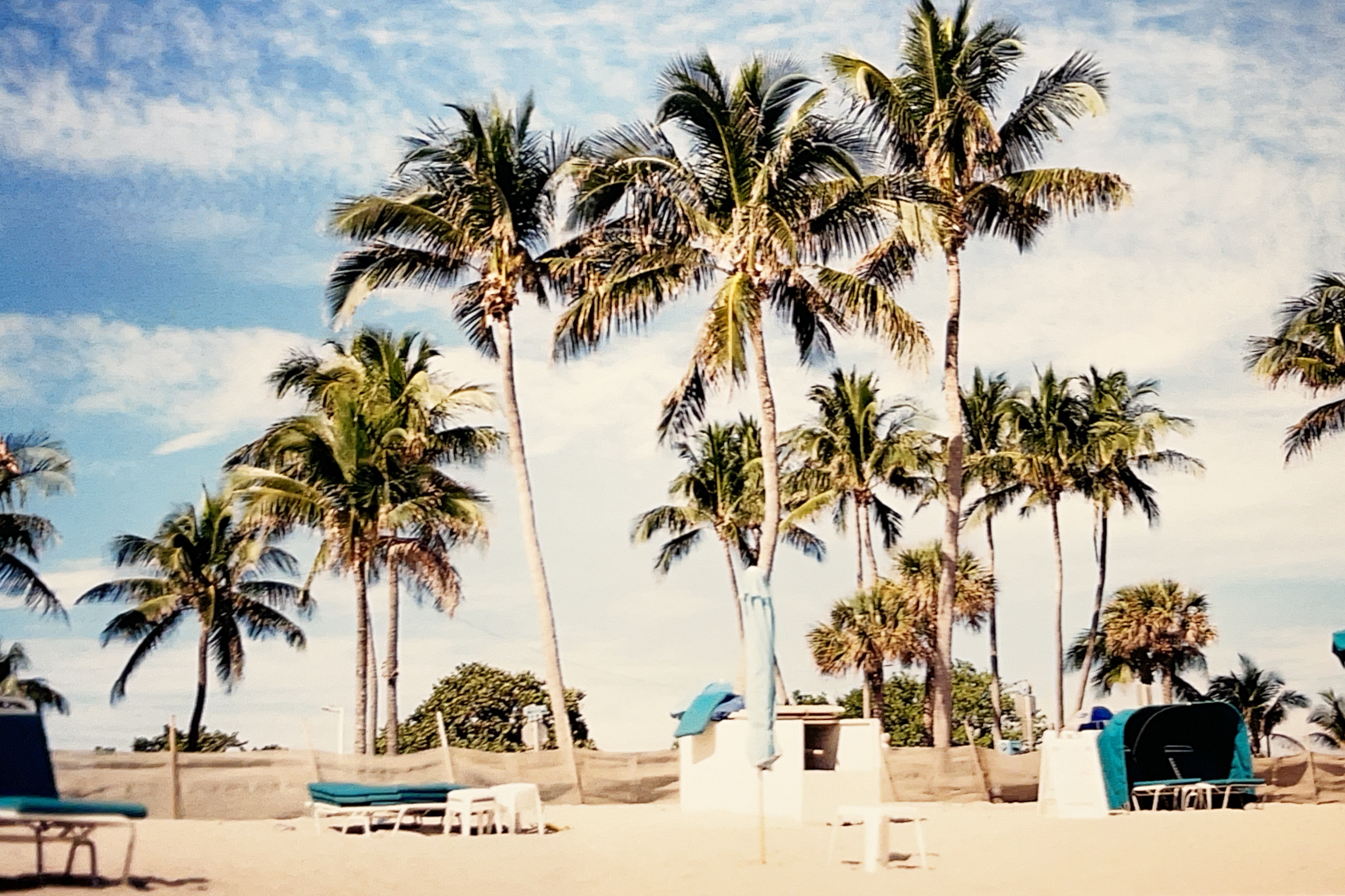 Deerfield Beach,FL landscape picture